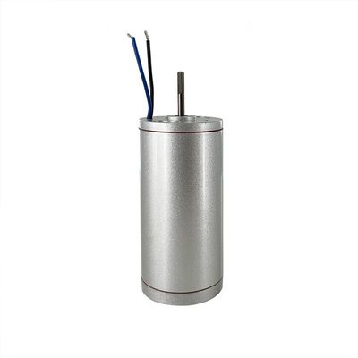 Motor de atuador linear de corrente contínua de 230 V para esteiras elétricas Motor escovado Tipo de item