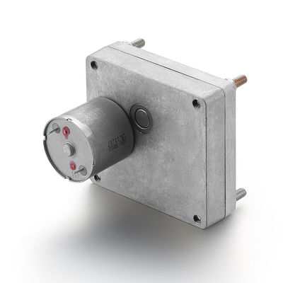 28mm 24v 7.73W MOTOR DE GEAR de prata de alto binário de pincel de engrenagem motor de corrente contínua para personalização
