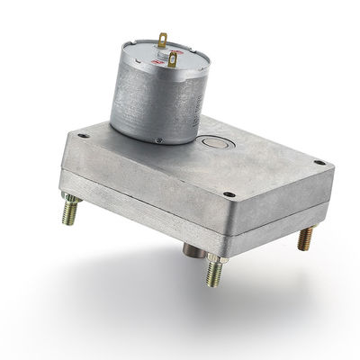 28mm 24v 7.73W MOTOR DE GEAR de prata de alto binário de pincel de engrenagem motor de corrente contínua para personalização