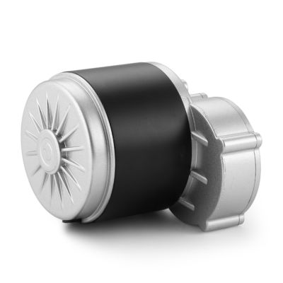 24V 250W/350W Alto Torque 101mm Engrenagem DC Motor Elétrico Máquina essencial