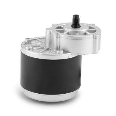 24V 250W/350W Alto Torque 101mm Engrenagem DC Motor Elétrico Máquina essencial
