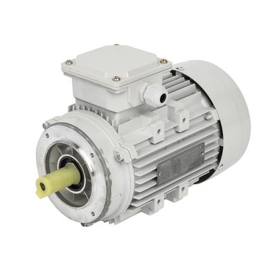 Motor DC de indução assíncrona de alto binário trifásico monofásico à prova de explosão