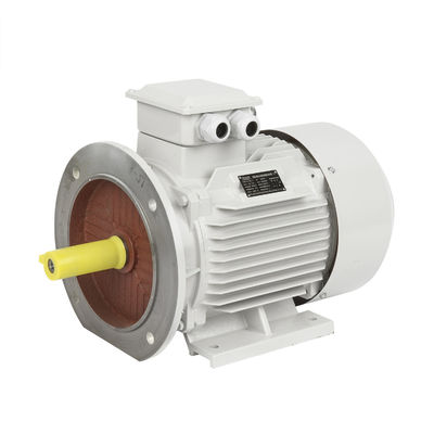 Motor DC de indução assíncrona de alto binário trifásico monofásico à prova de explosão