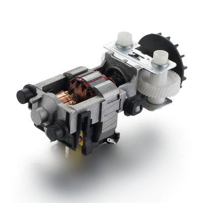 Alto Torque 830rpm 55mm 110v 220v 30W 50/60Hz AC Motor Elétrico para Profissional