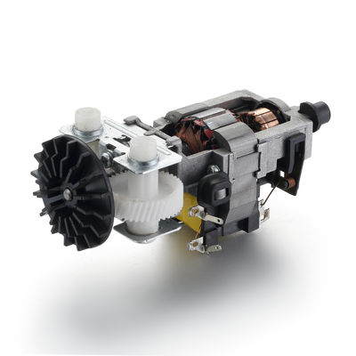 Alto Torque 830rpm 55mm 110v 220v 30W 50/60Hz AC Motor Elétrico para Profissional
