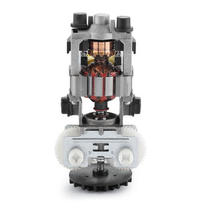 Alto Torque 830rpm 55mm 110v 220v 30W 50/60Hz AC Motor Elétrico para Profissional