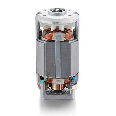 Potência nominal AC de 40w Motor universal síncrono para motor elétrico monofásico de 110v 220v