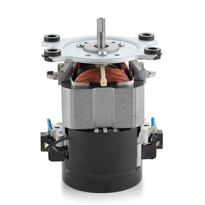 IE 1 Eficiência 110V 220V AC Motor da esteira 50/60Hz Motor AC monofásico