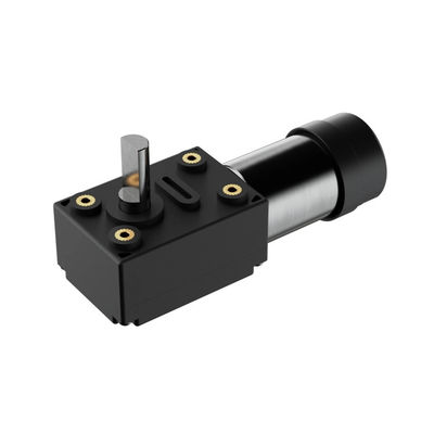 Motor elétrico DC 1KG Ferramentas de jardim com 12V Shell de plástico DC Worm Gear BLDC Motor