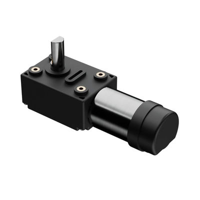 Motor elétrico DC 1KG Ferramentas de jardim com 12V Shell de plástico DC Worm Gear BLDC Motor