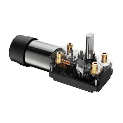 Motor elétrico DC 1KG Ferramentas de jardim com 12V Shell de plástico DC Worm Gear BLDC Motor