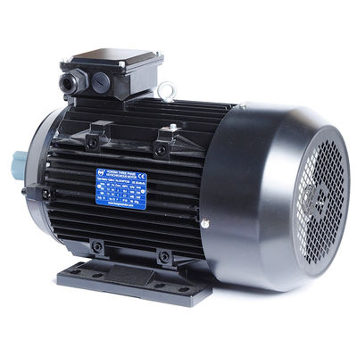 Classe de isolamento do motor de indução de 3 fases F 2KG para bomba de água de máquina de lavar popular