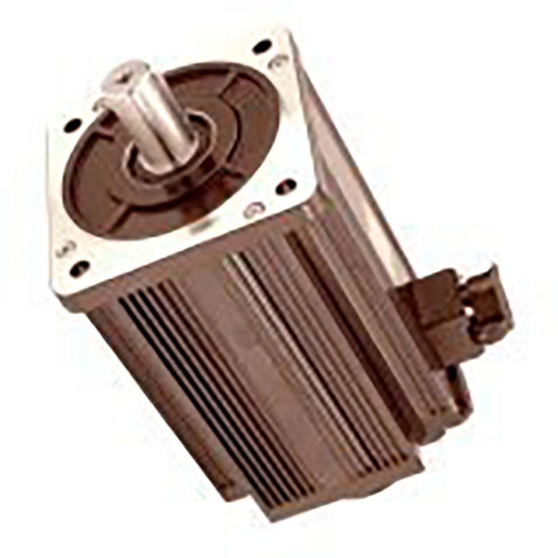 Aparelhos domésticos 90/110VDC potência 2.5HP Motor de esteira do Nepal DC Motor Elétrico