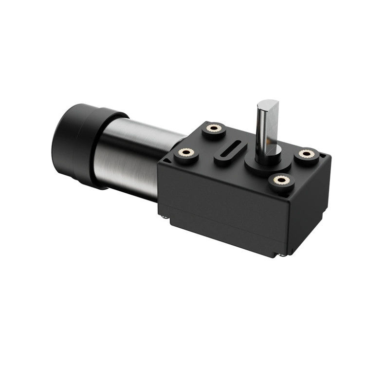 Motor elétrico DC 1KG Ferramentas de jardim com 12V Shell de plástico DC Worm Gear BLDC Motor