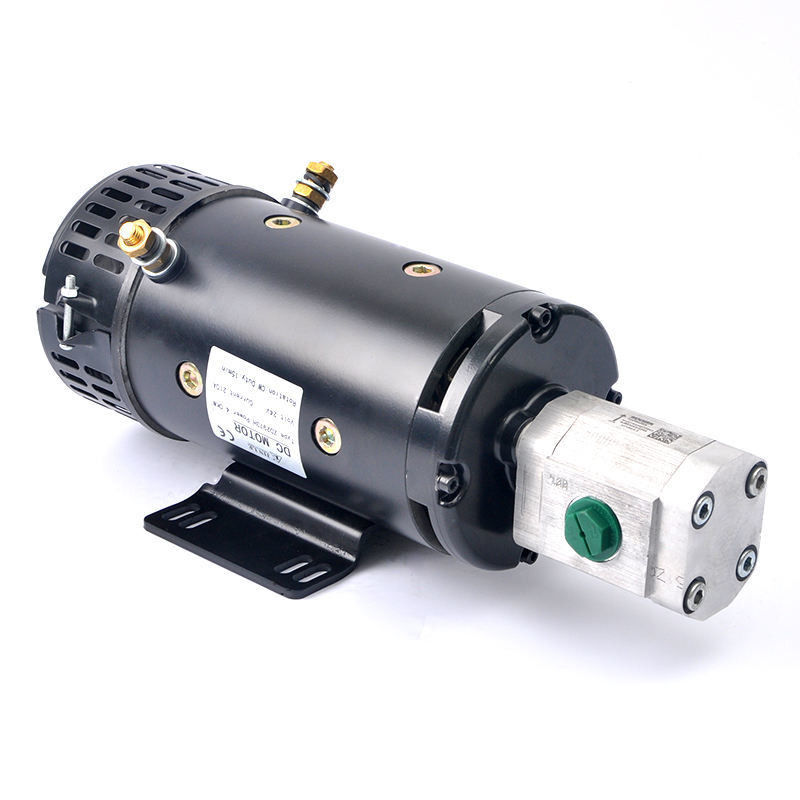 Ferramentas de jardim 24V 4KW Motor elétrico DC de alto torque ZD2973H com bomba de engrenagem